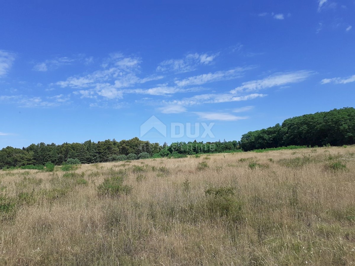 Terrain À vendre - ISTARSKA  Umag
