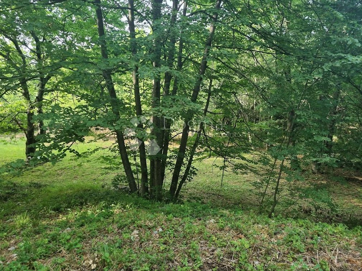 Hiša Na predaj - PRIMORSKO-GORANSKA  KASTAV 