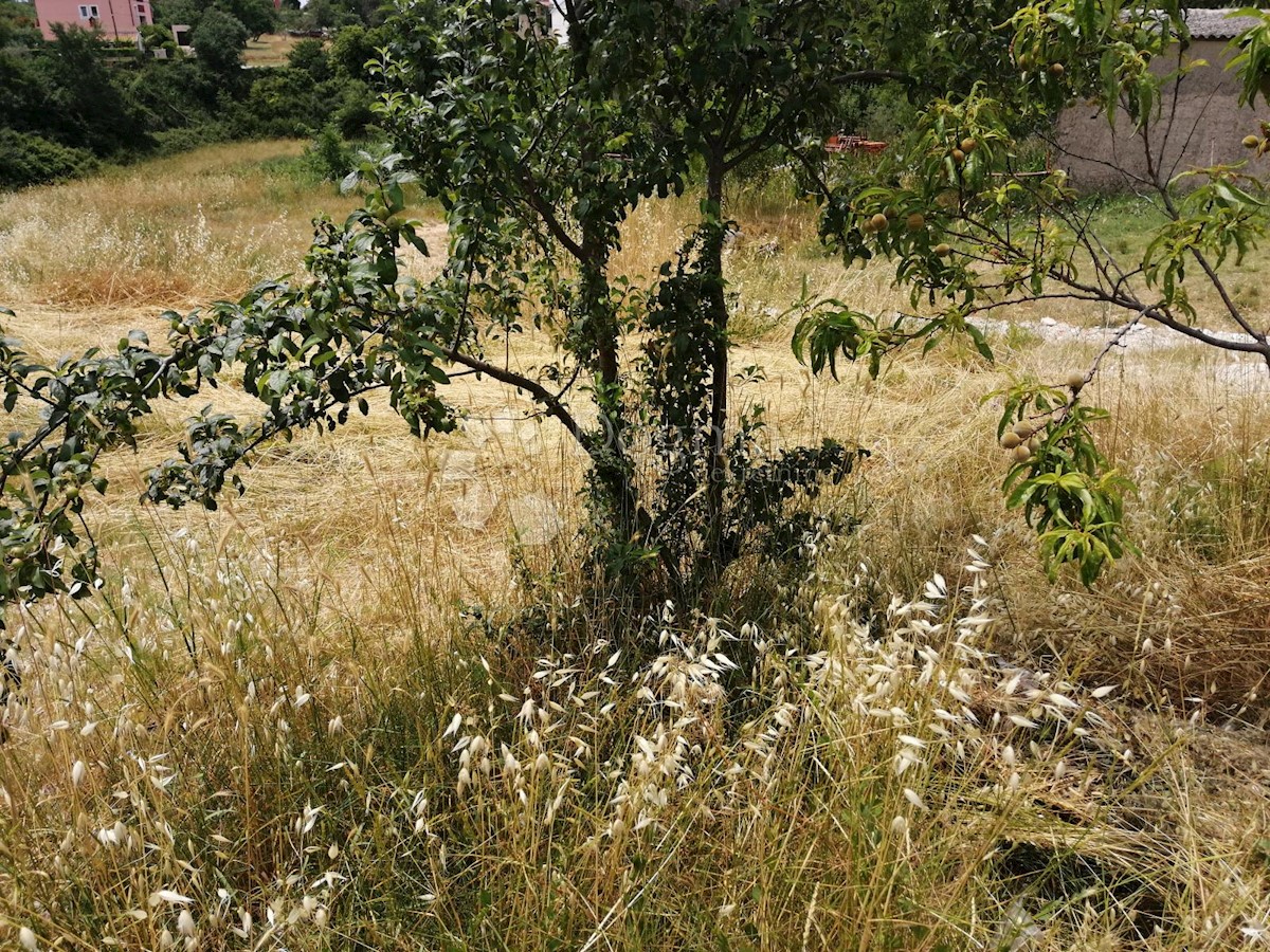Land For sale - ISTARSKA  VODNJAN 