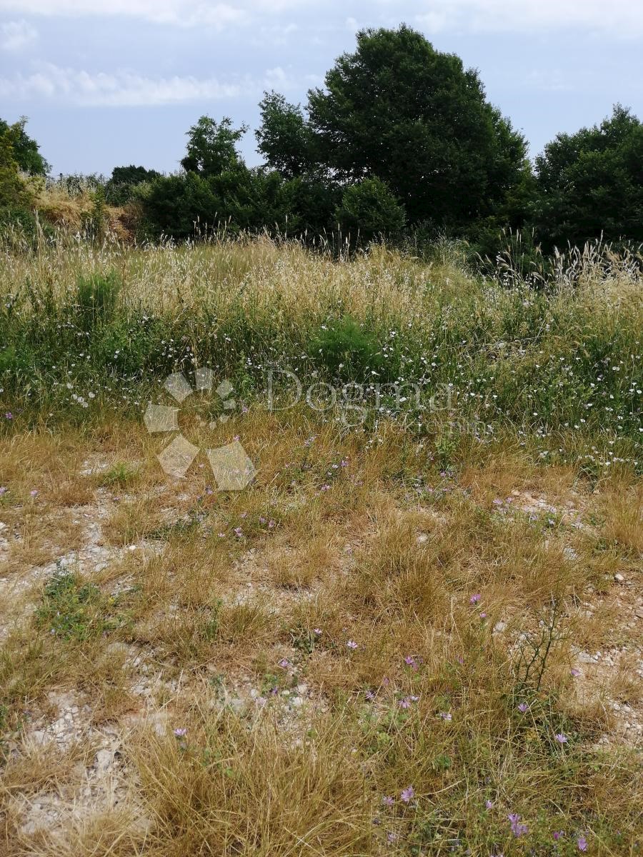 Land For sale - ISTARSKA  VODNJAN 