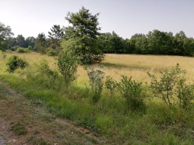 Terrain à vendre 3274 m² – Tinjan
