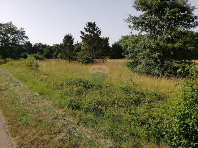 Działka Na sprzedaż - Istarska Tinjan - foto 3/3