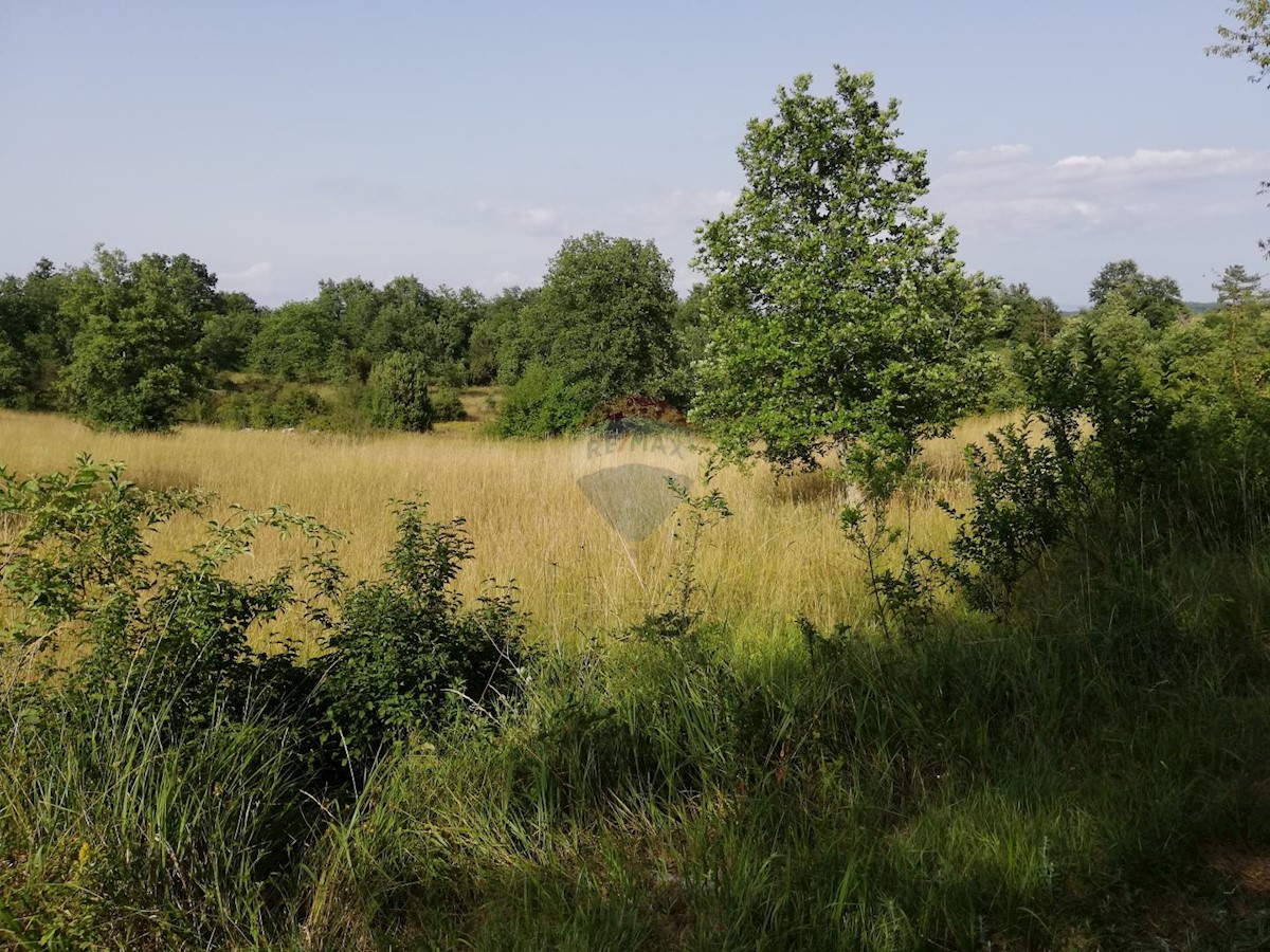 Zemljište Na prodaju - ISTARSKA  TINJAN 