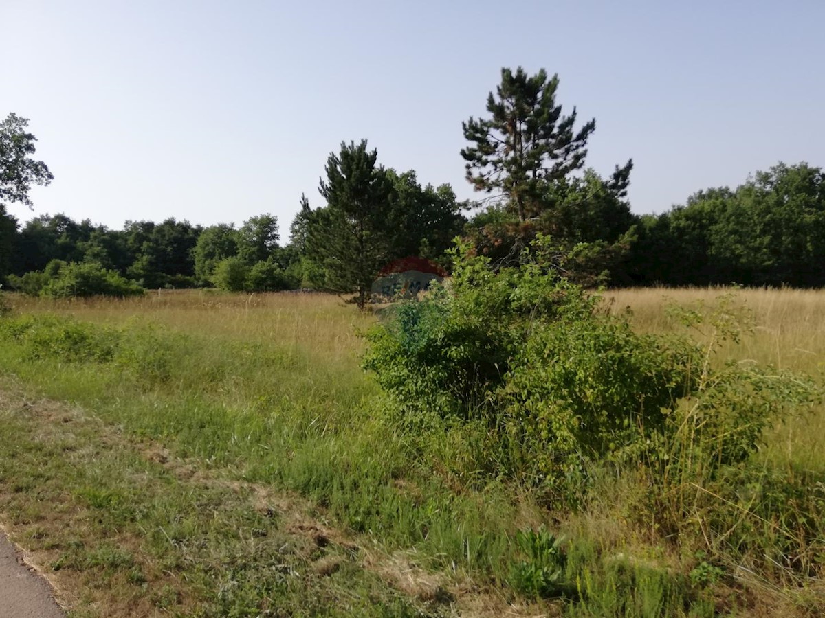 Terreno In vendita - ISTARSKA  Tinjan