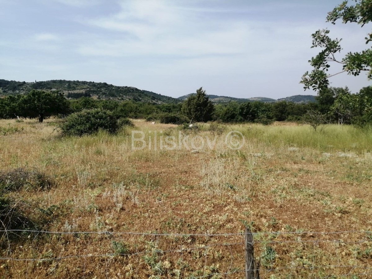 Grundstück Zu verkaufen - SPLITSKO-DALMATINSKA  BRAČ 