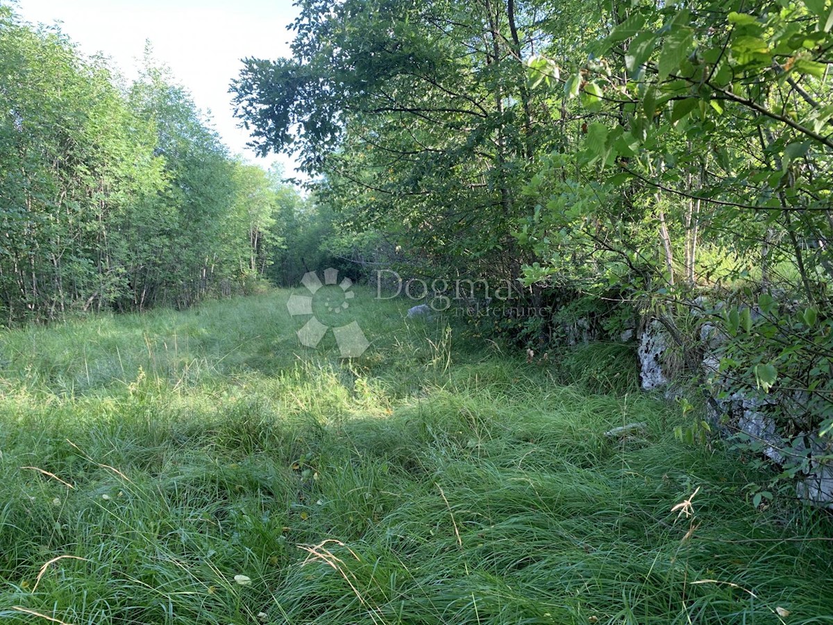 Land For sale - PRIMORSKO-GORANSKA  MATULJI 