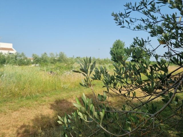Zemljište na prodaju 2200 m² – Svetvinčenat