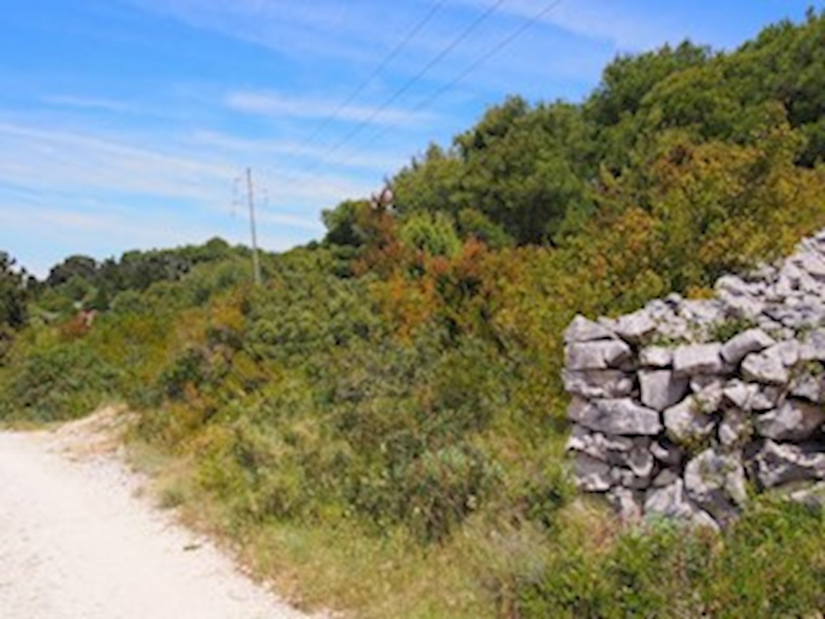 Land For sale - ZADARSKA  DUGI OTOK 