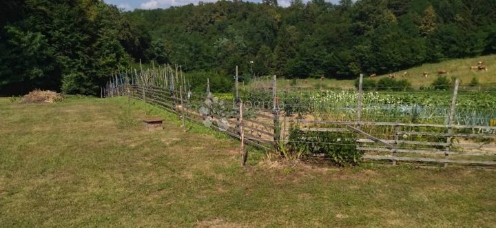 Grundstück Zu verkaufen - Karlovačka Bosiljevo - foto 4/4