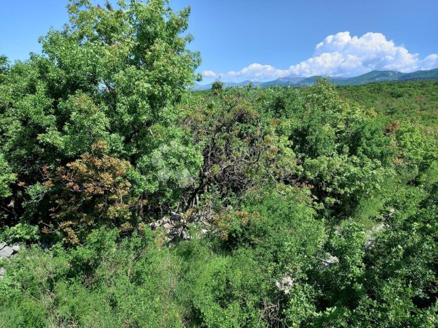 Pozemok na predaj 3435 m² – Kraljevica