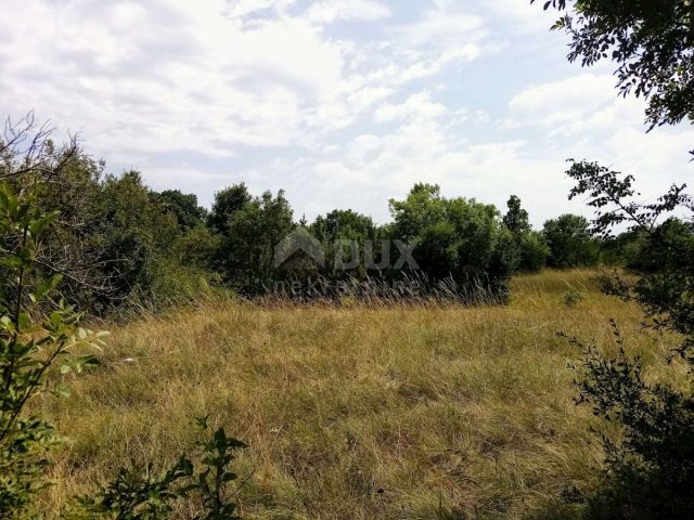 Land for sale 8180 m² – Labin