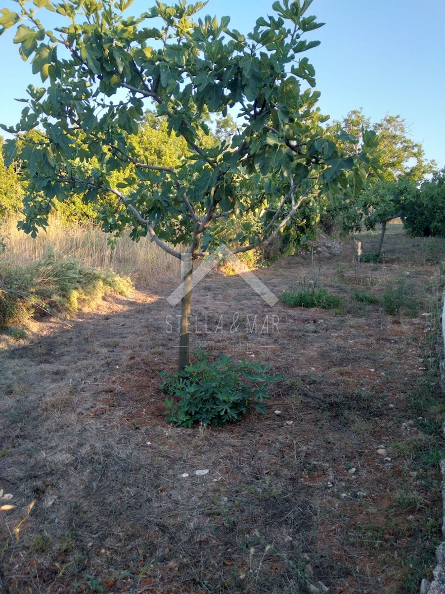 Terreno In vendita - ZADARSKA  NIN 