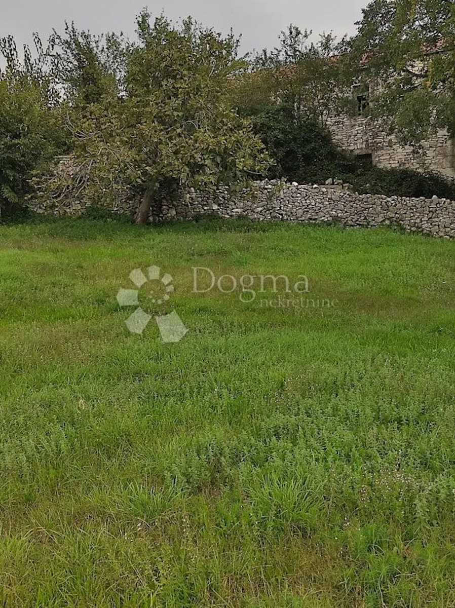 House For sale - ISTARSKA  BARBAN 
