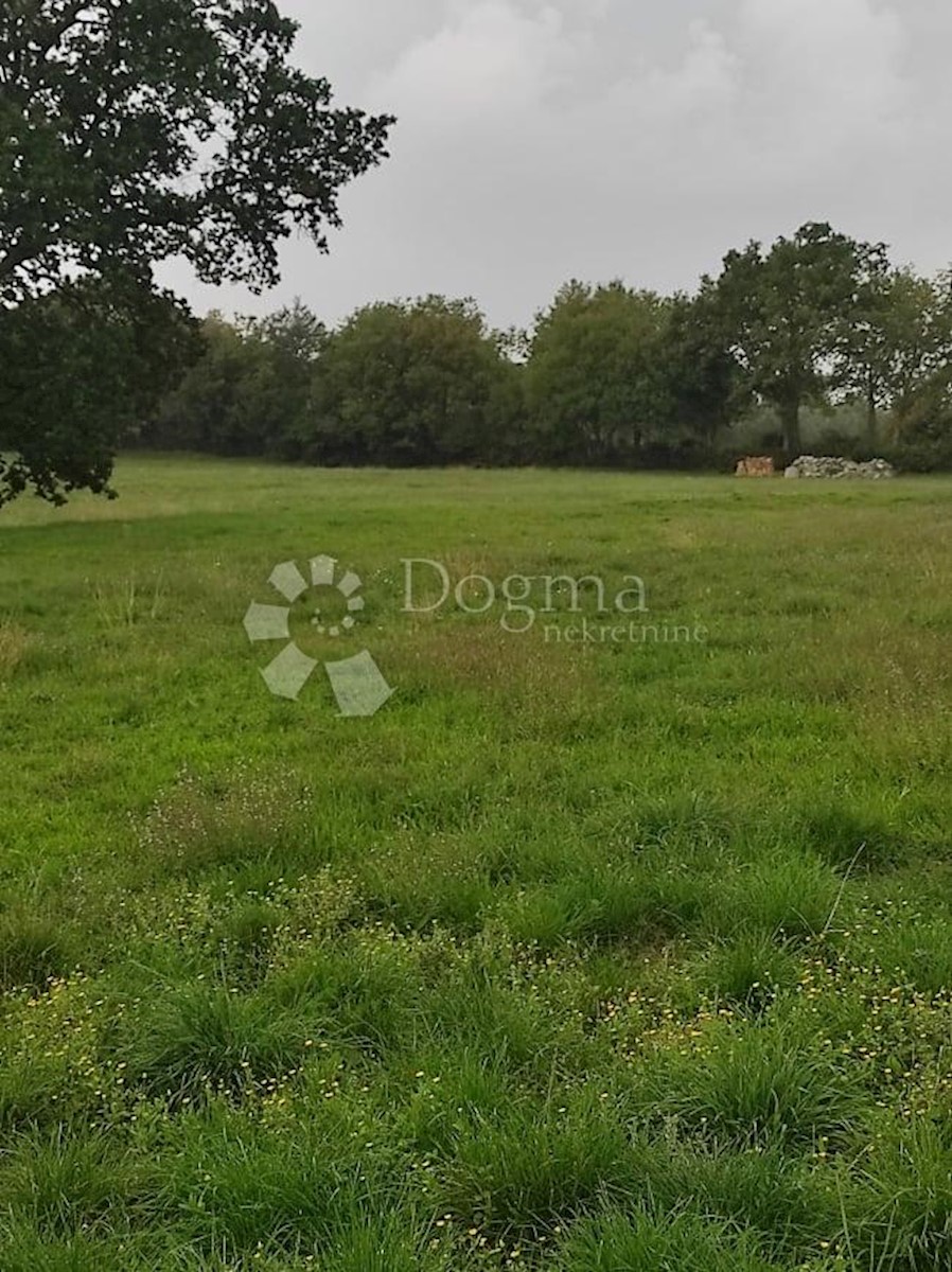 House For sale - ISTARSKA  BARBAN 
