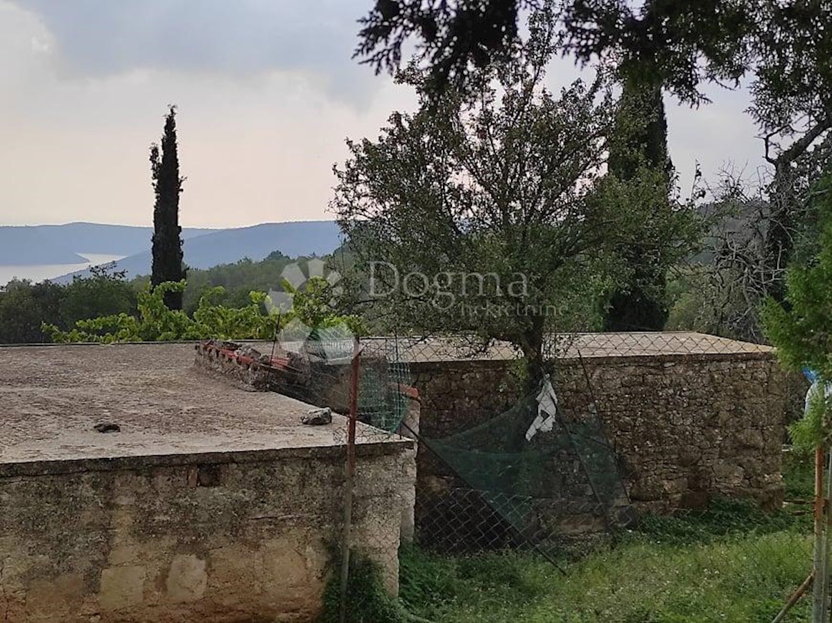 House For sale - ISTARSKA  BARBAN 