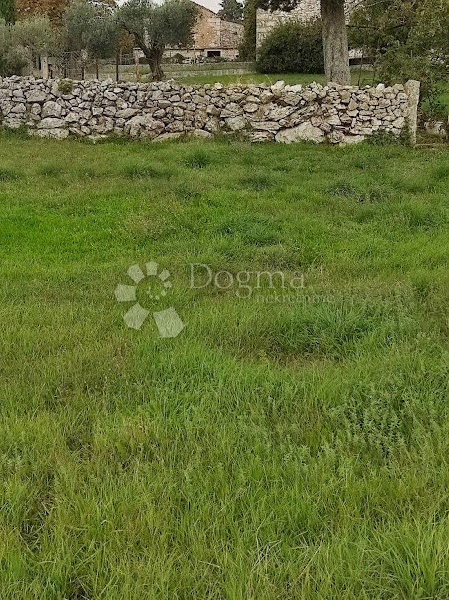 House For sale - ISTARSKA  BARBAN 