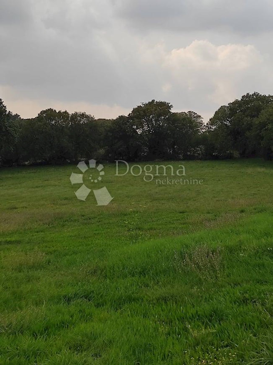 House For sale - ISTARSKA  BARBAN 