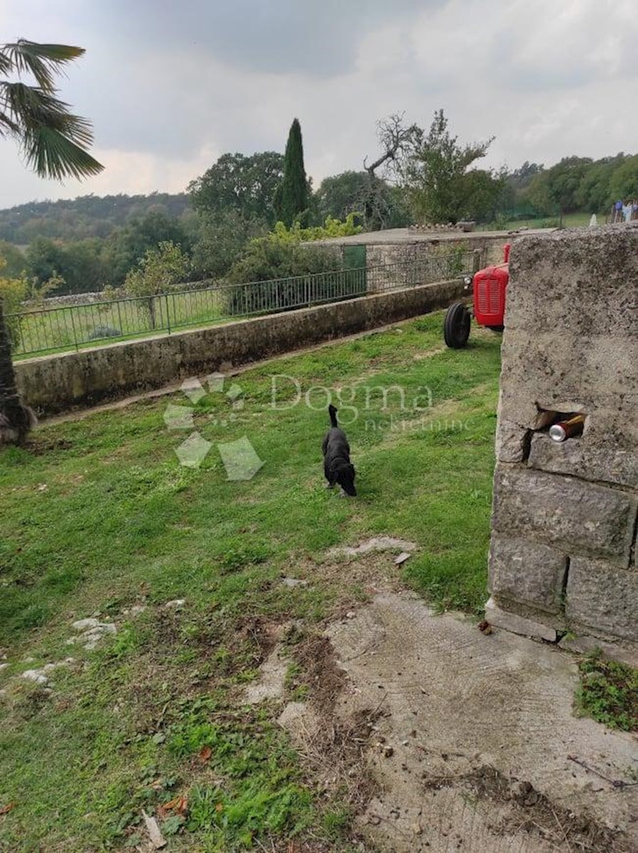 House For sale - ISTARSKA  BARBAN 