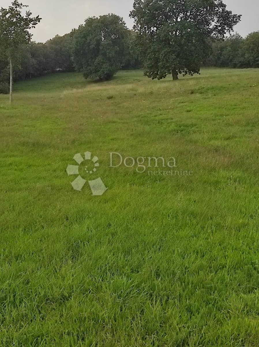 House For sale - ISTARSKA  BARBAN 