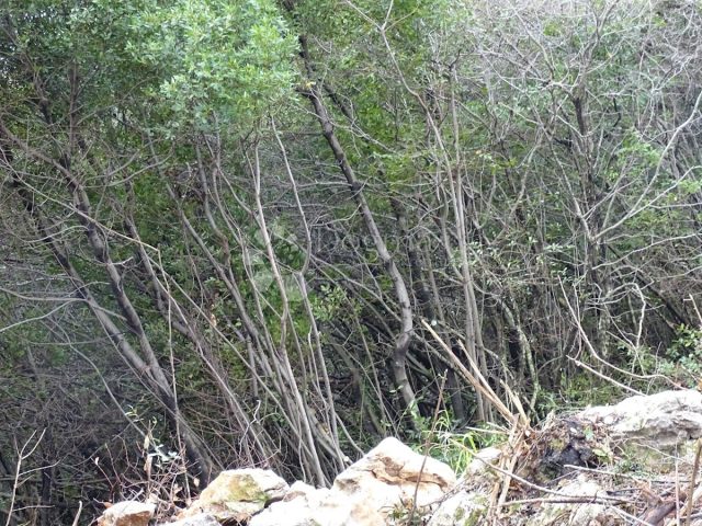 Terreno in vendita 1158 m² – Rukavac