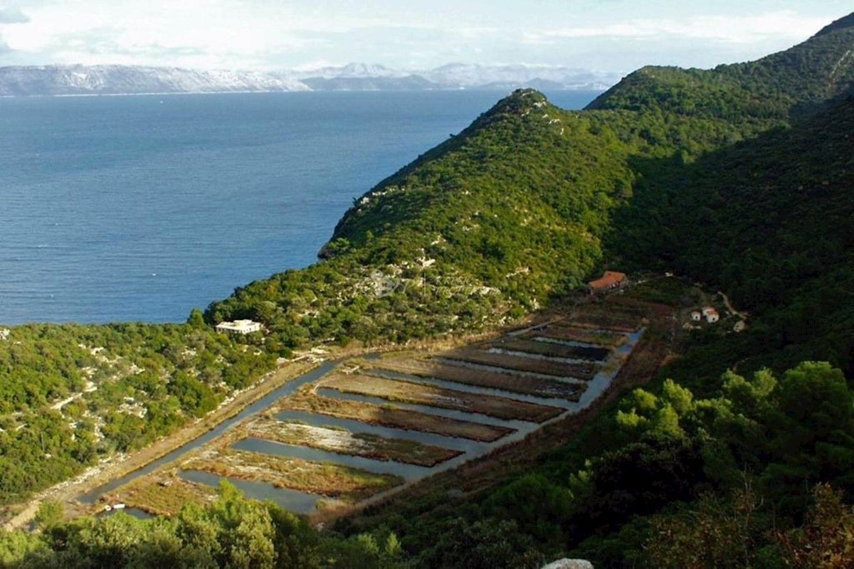 Terreno In vendita - DUBROVAČKO-NERETVANSKA  MLJET 