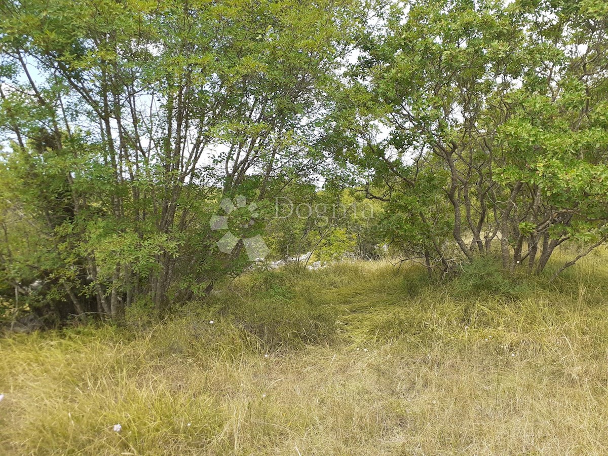 Land For sale - ISTARSKA  BALE 