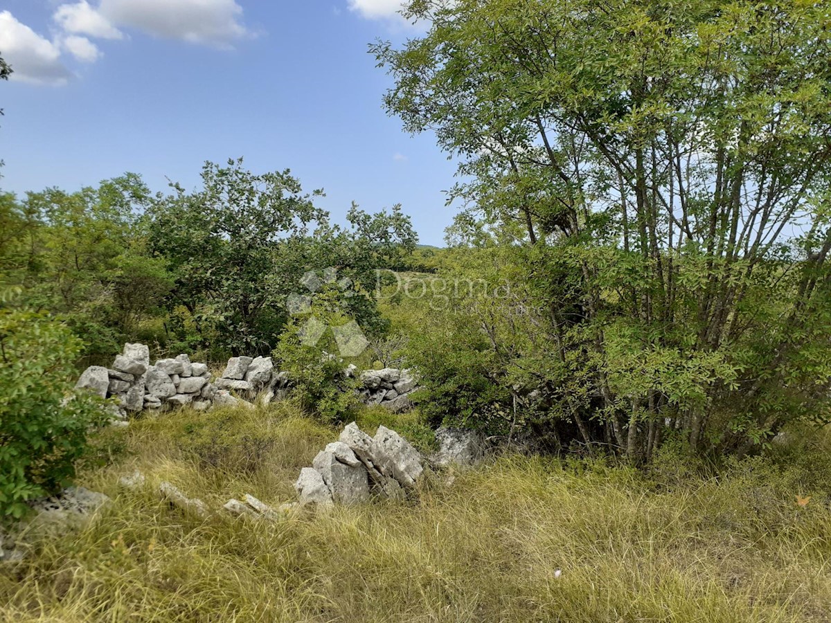 Terreno In vendita - ISTARSKA  BALE 