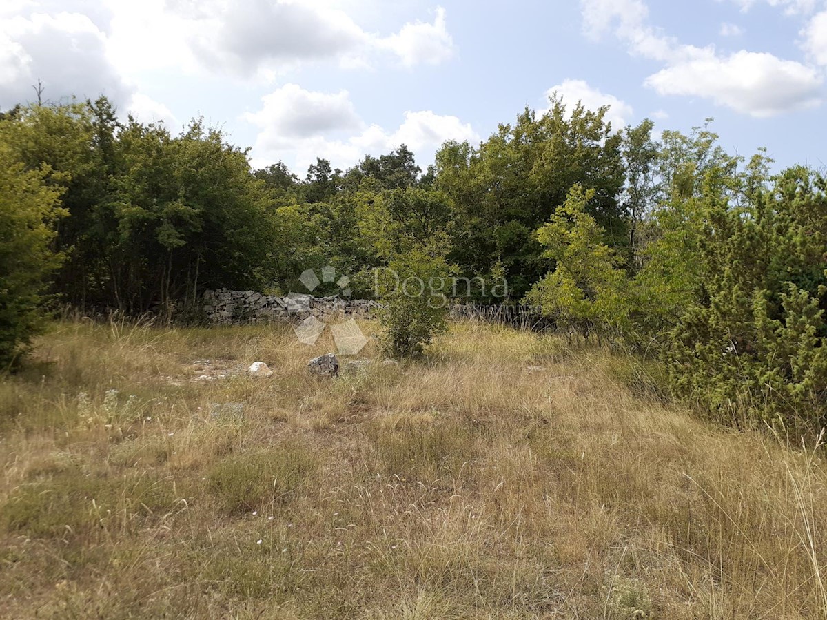 Land For sale - ISTARSKA  BALE 