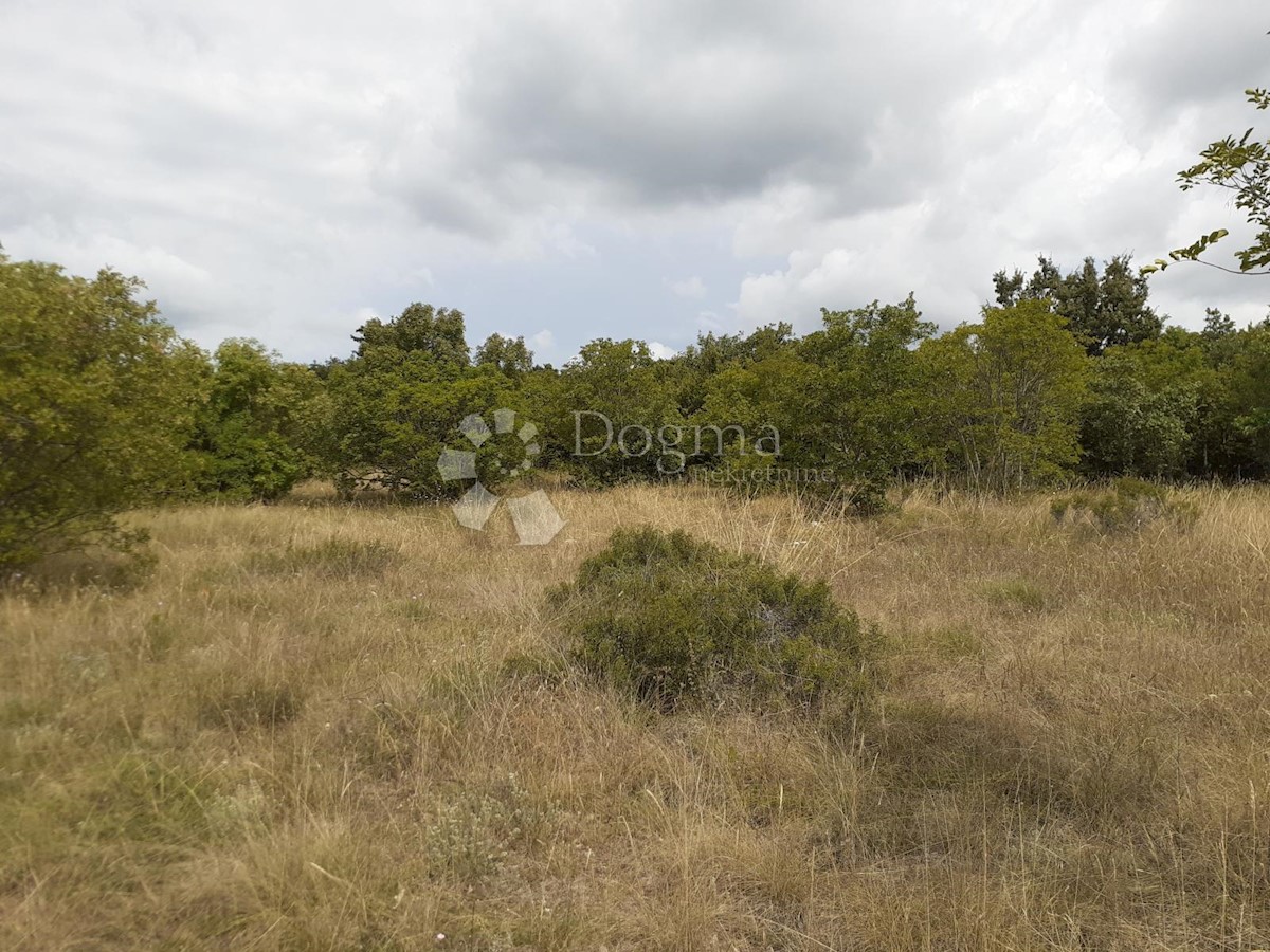 Land For sale - ISTARSKA  BALE 