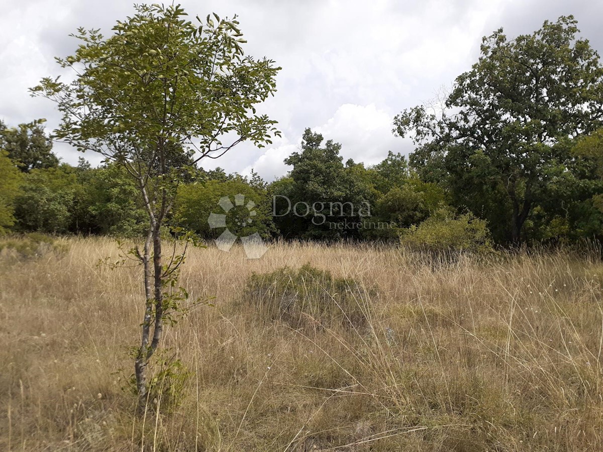 Land For sale - ISTARSKA  BALE 