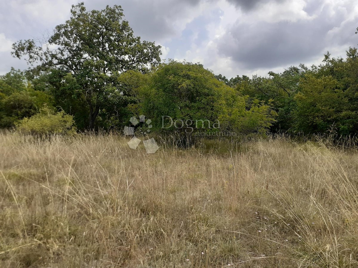 Land For sale - ISTARSKA  BALE 