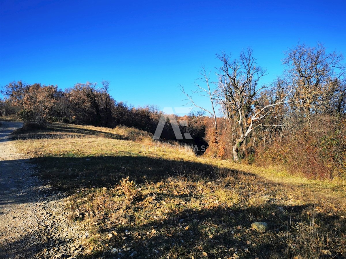 Land For sale - PRIMORSKO-GORANSKA  KRK 