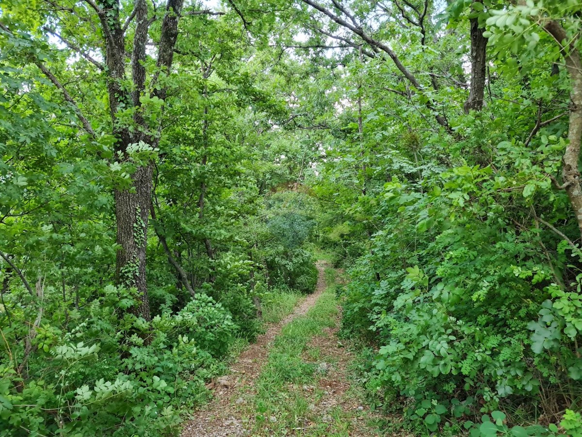 Terreno In vendita - PRIMORSKO-GORANSKA  MOŠĆENIČKA DRAGA 