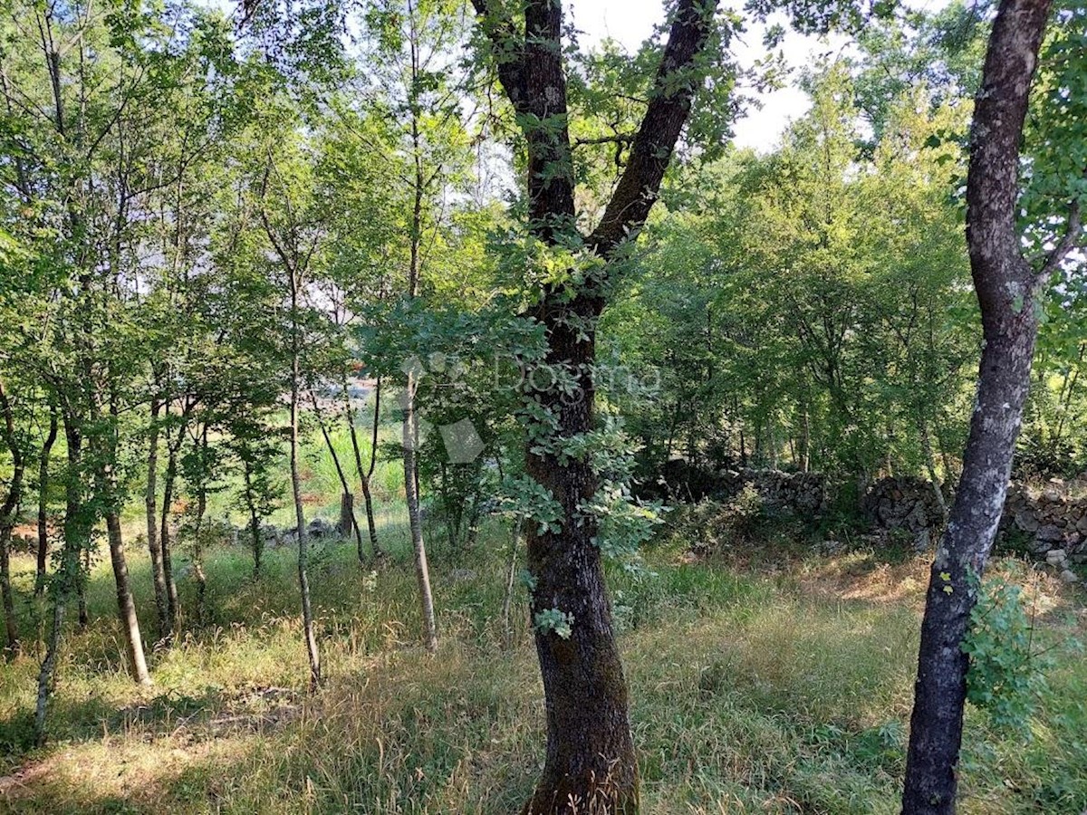 Land For sale - PRIMORSKO-GORANSKA  KRK 