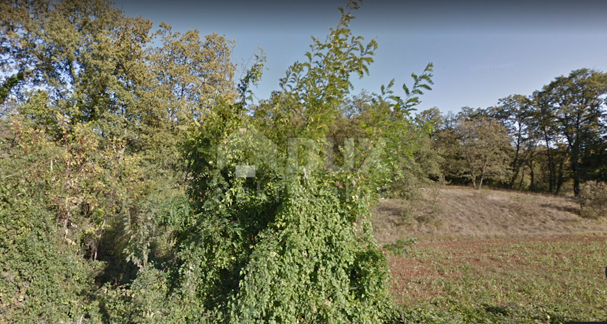 Land For sale - Istarska Barban - foto 4/7