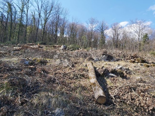 Terreno in vendita 3111 m² – Rukavac