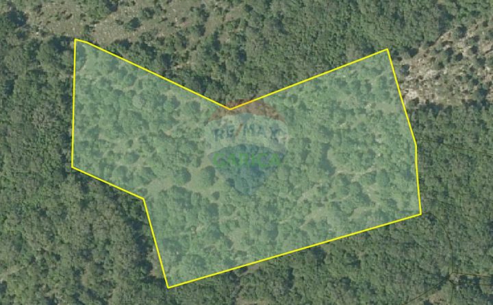 Land for sale 12257 m² – Garica
