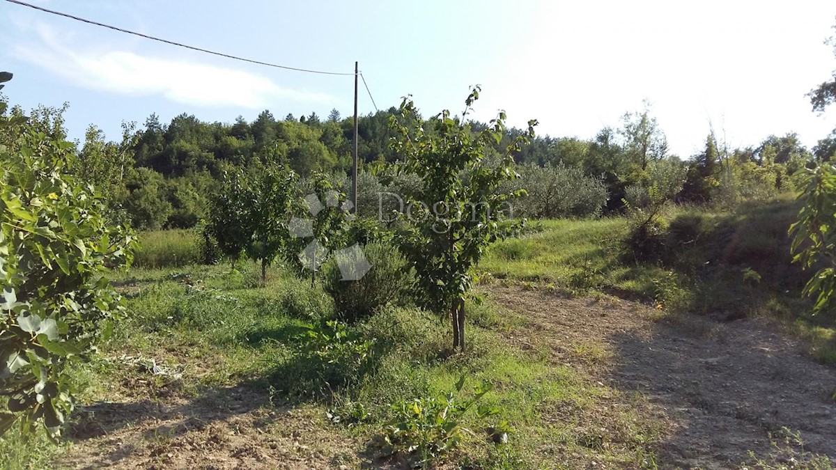 Land For sale - ISTARSKA  PAZIN 