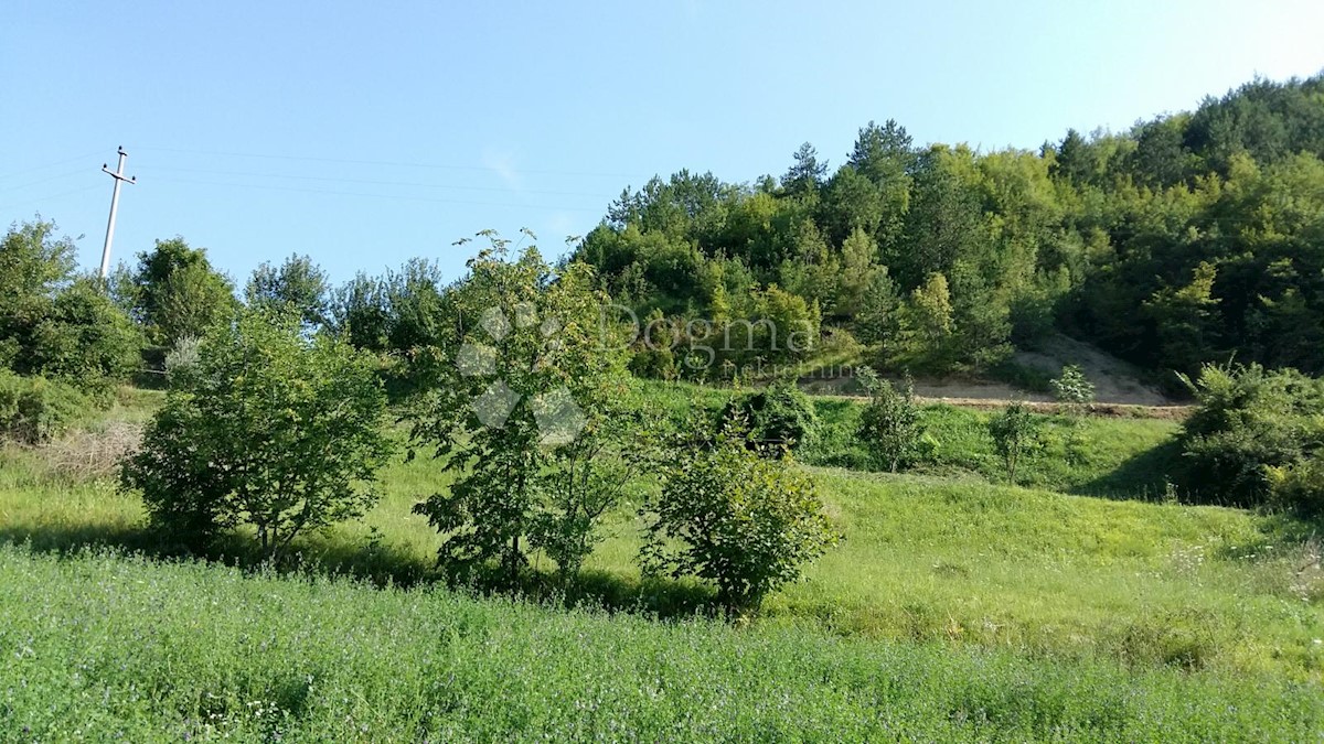 Land For sale - ISTARSKA  PAZIN 