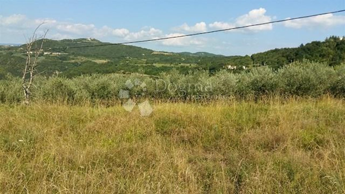 Land For sale - ISTARSKA  PAZIN 