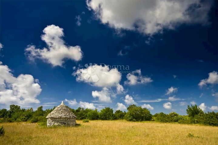 Parcela na predaj 9306 m² – Rakovci