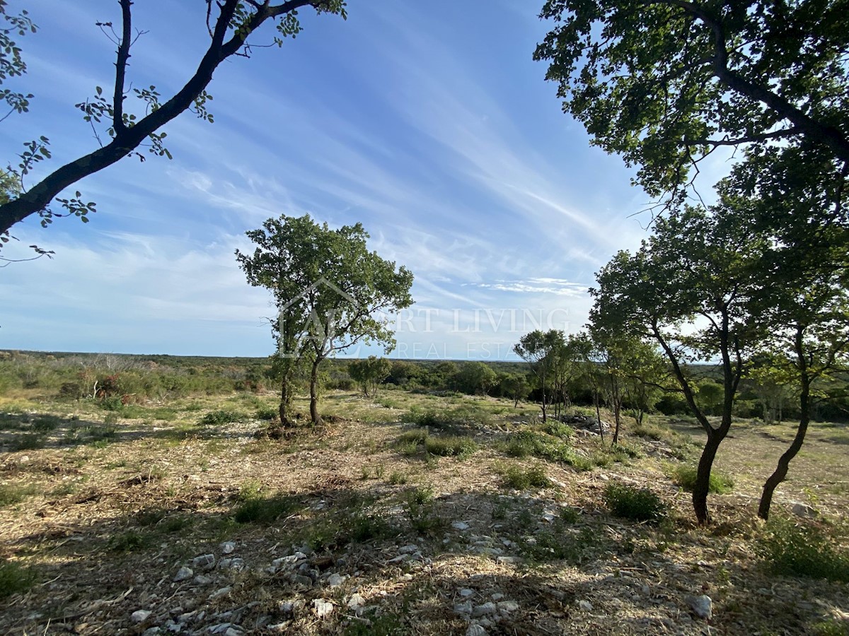 Land For sale - ISTARSKA  BALE 