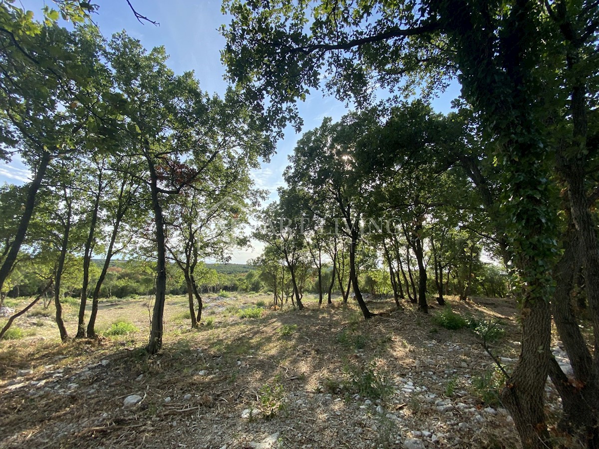 Land For sale - ISTARSKA  BALE 