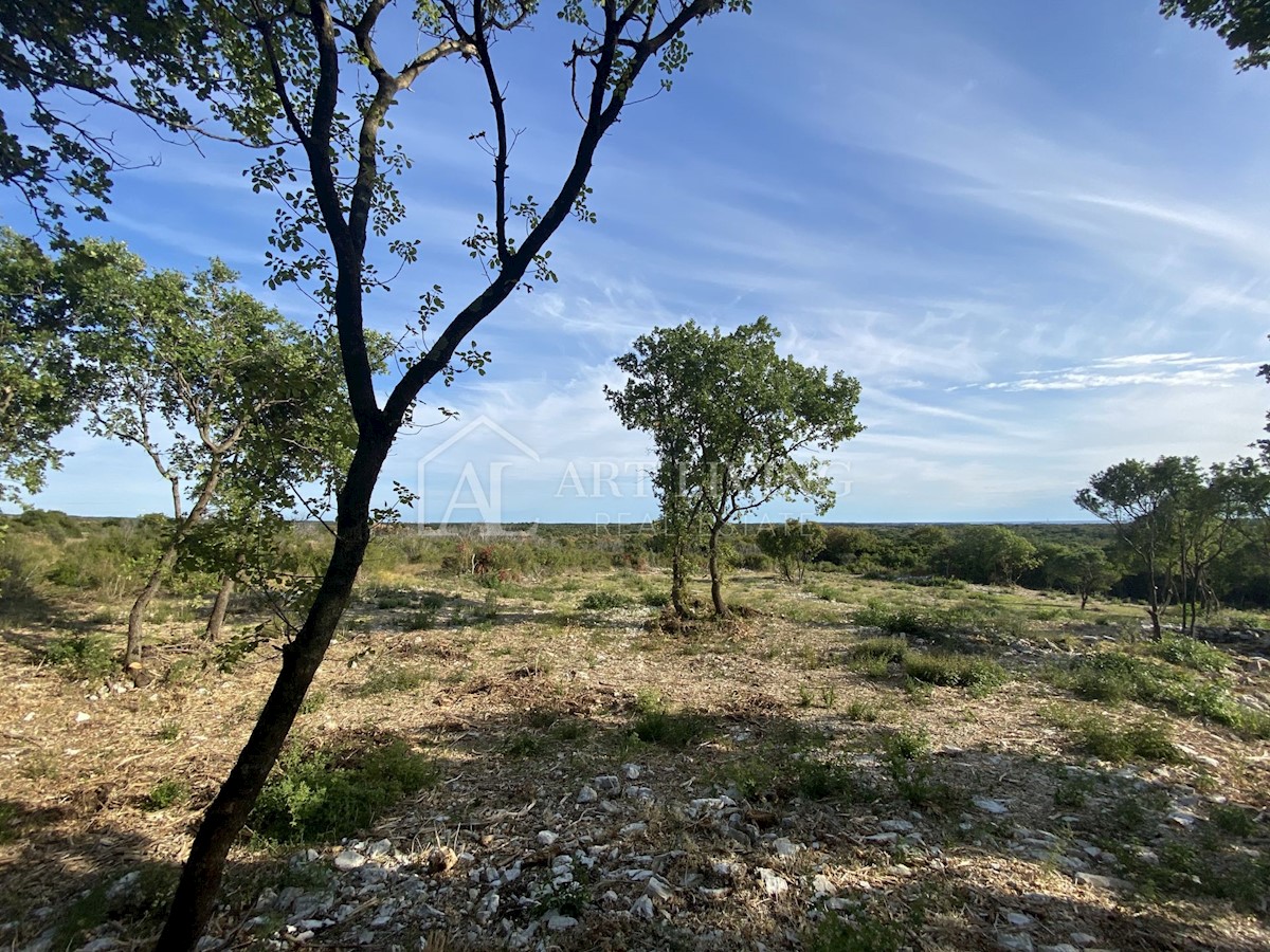 Land For sale - ISTARSKA  BALE 