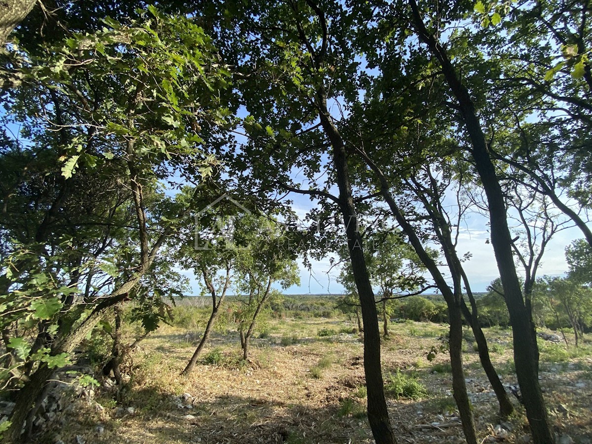 Land For sale - ISTARSKA  BALE 