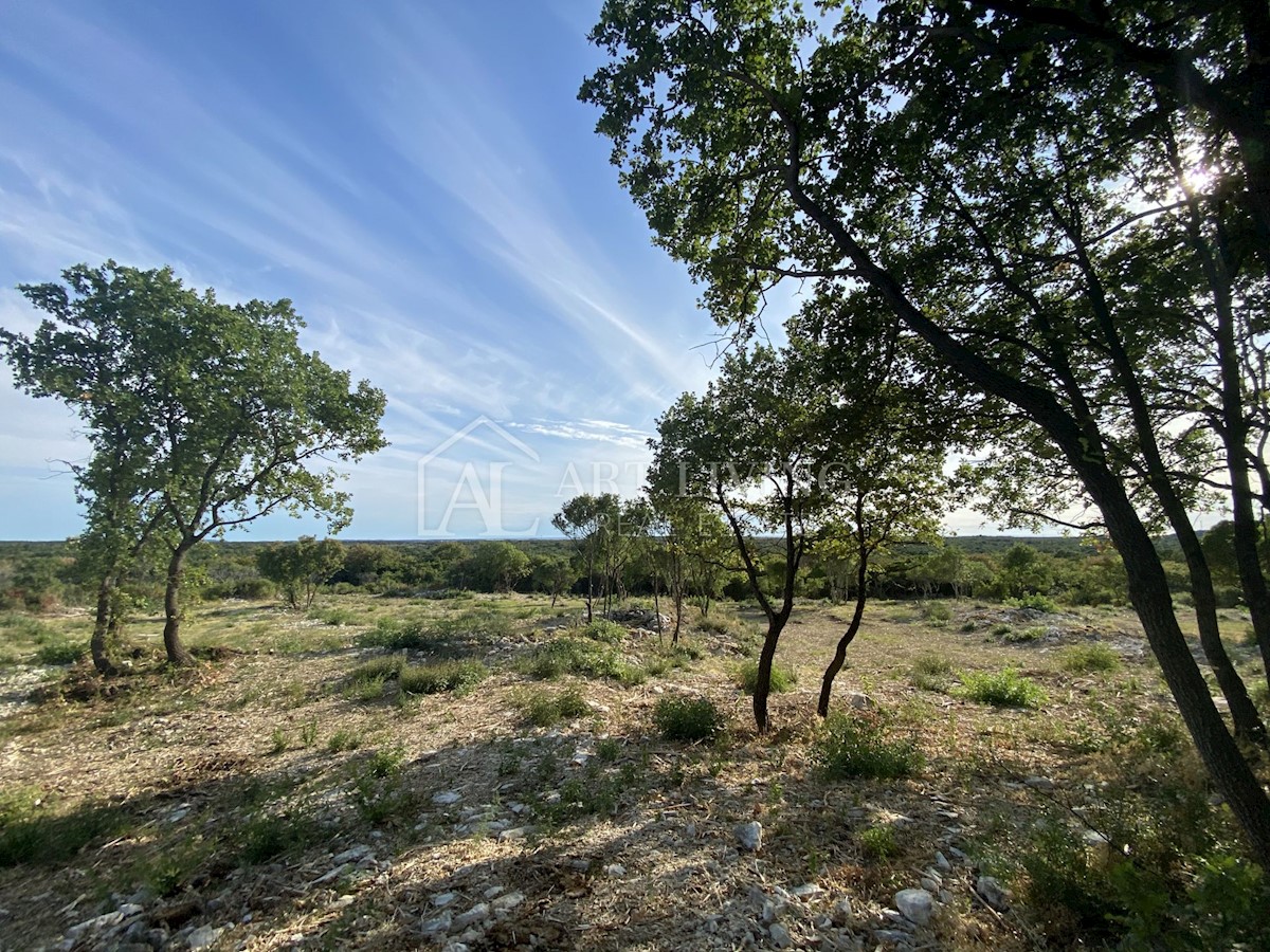 Land For sale - ISTARSKA  BALE 