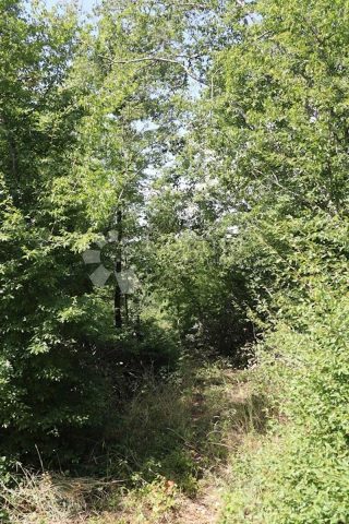 Działka Na sprzedaż - Istarska Marčana - foto 4/6