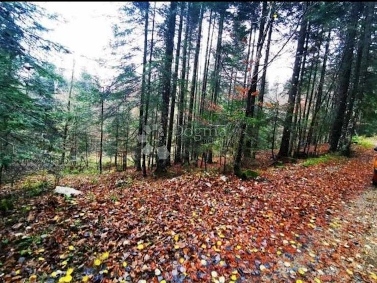 Pozemek Na prodej - Primorsko-goranska Ravna Gora - foto 4/6