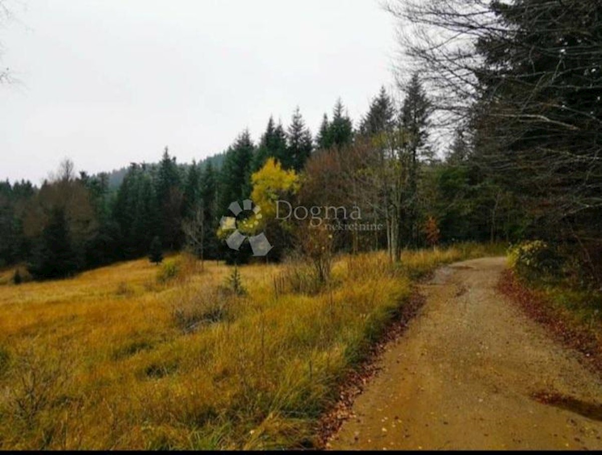 Pozemek Na prodej - Primorsko-goranska Ravna Gora - foto 5/6
