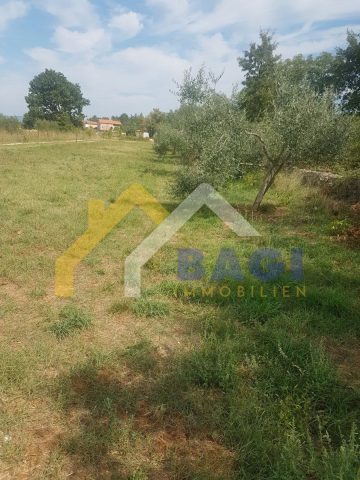 Pozemek na prodej 400 m² – Pavićini